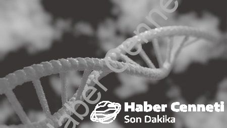Genetik Mühendislikte Son İlerlemeler neler?