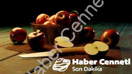 Bitkisel Beslenme Eğilimleri: Vegan Yemekleri Popülerleşiyor