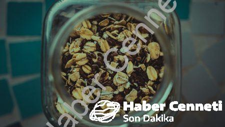 Bitkisel proteinlerin yararları ve zararları