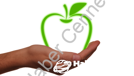 Yenilenebilir Enerji Kaynakları Nelerdir?