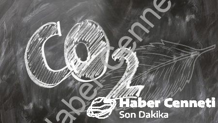 Bloğu Açmak İçin 5 Adım: Bloglama Dünyasına Adım Atın
