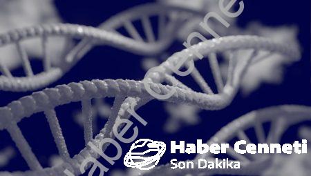 Genetik Mühendisliğin Geleceği: Bilim İnsanları Ne Diyor?