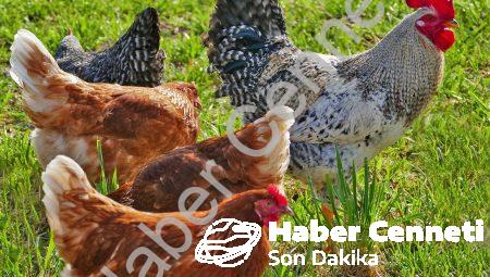 Espor Endüstrisindeki Sponsorluklar: Büyük İşletmelerin Yeni Reklam Aracı