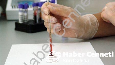 Bilimsel Deneylerin Sonuçları
