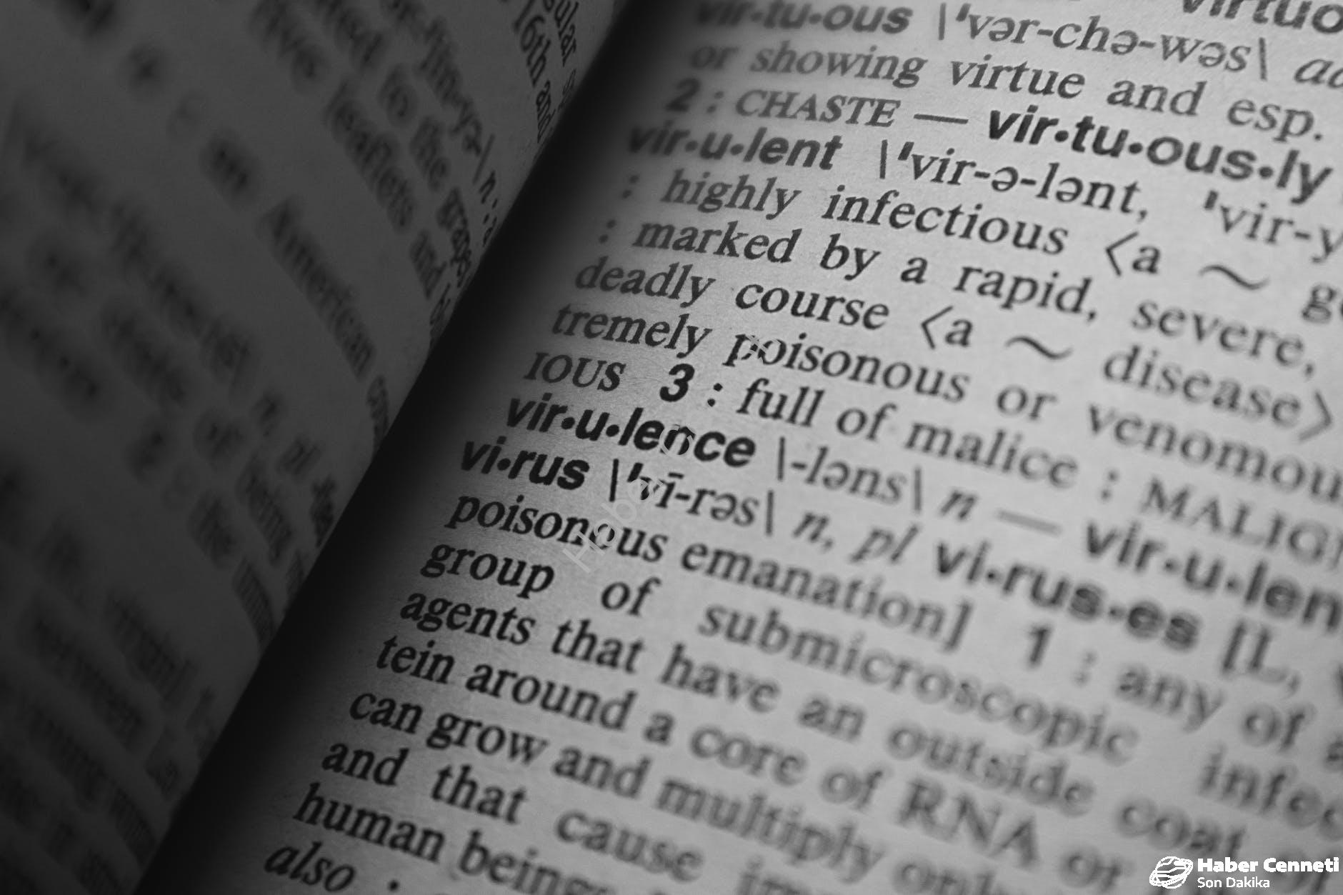 Yaratıcı ve Etkili: İngilizce Kelime Öğrenme Stratejileri