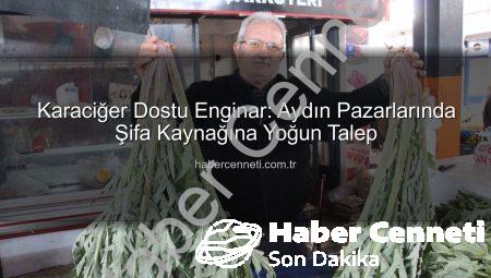 Karaciğer Dostu Enginar: Aydın Pazarlarında Şifa Kaynağına Yoğun Talep