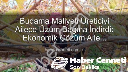 Budama Maliyeti Üreticiyi Ailece Üzüm Bağına İndirdi: Ekonomik Çözüm Aile Emeğinde