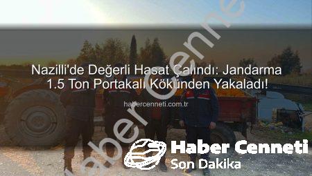 Nazilli’de Değerli Hasat Çalındı: Jandarma 1.5 Ton Portakalı Kökünden Yakaladı!