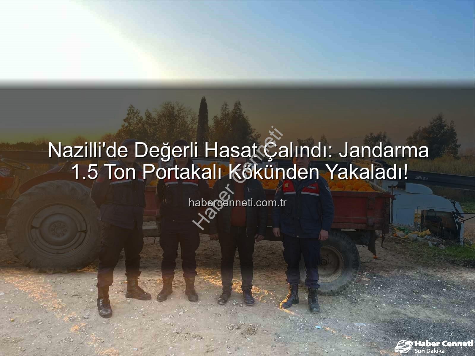 Nazilli'de Değerli Hasat Çalındı: Jandarma 1.5 Ton Portakalı Kökünden Yakaladı!