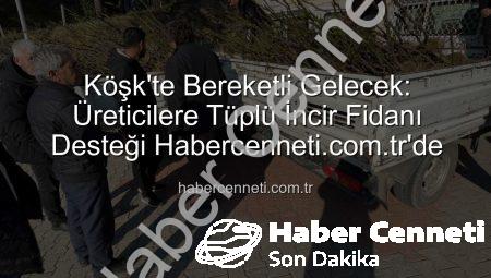 Köşk’te Bereketli Gelecek: Üreticilere Tüplü İncir Fidanı Desteği Habercenneti.com.tr’de