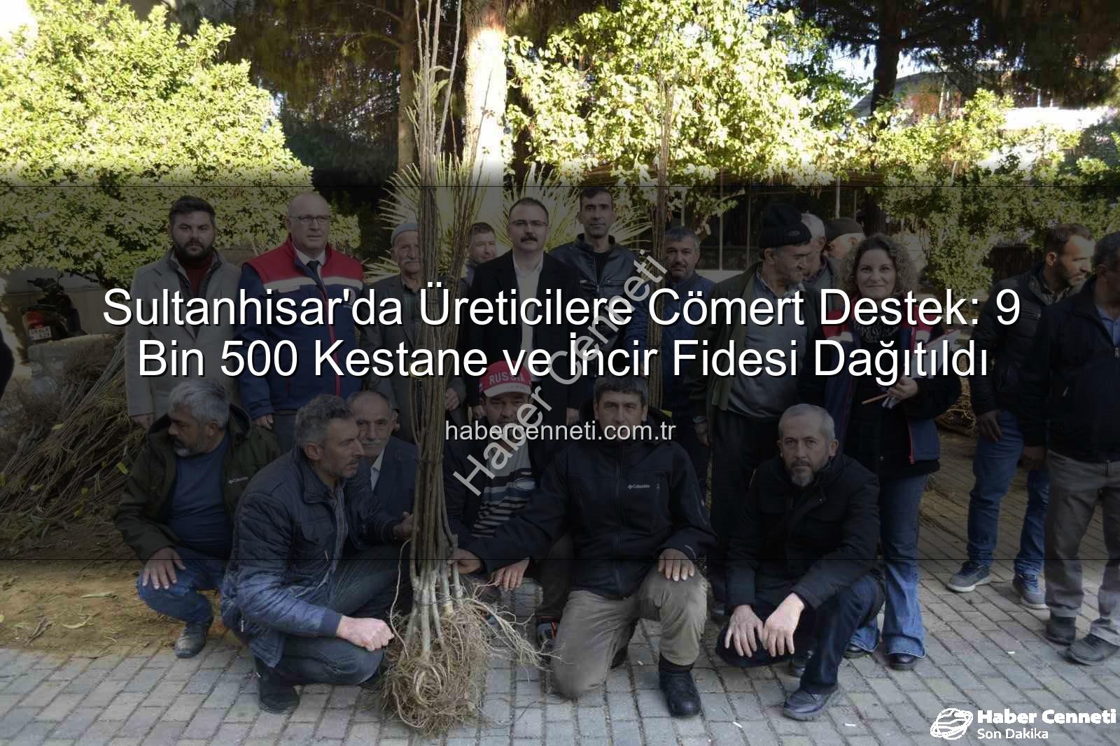kestane incir fidesi - Sultanhisar'da Üreticilere Cömert Destek: 9 Bin 500 Kestane ve İncir Fidesi Dağıtıldı