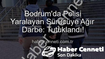 Bodrum’da Polisi Yaralayan Sürücüye Ağır Darbe: Tutuklandı!
