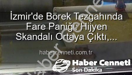 İzmir’de Börek Tezgahında Fare Paniği: Hijyen Skandalı Ortaya Çıktı, İşletme Mühürlendi!