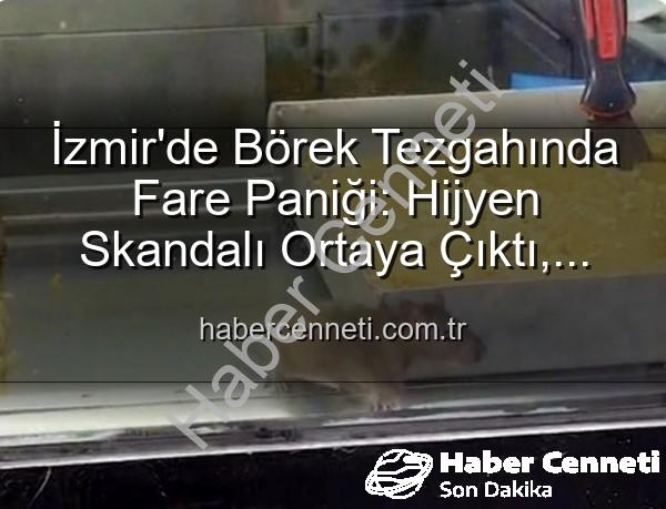 İzmir'de Börek Tezgahında Fare Paniği: Hijyen Skandalı Ortaya Çıktı, İşletme Mühürlendi!