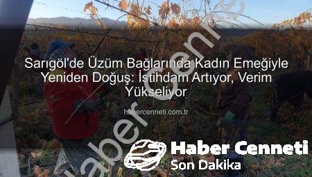 Sarıgöl’de Üzüm Bağlarında Kadın Emeğiyle Yeniden Doğuş: İstihdam Artıyor, Verim Yükseliyor