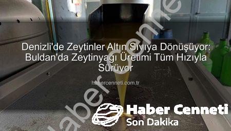 Denizli’de Zeytinler Altın Sıvıya Dönüşüyor: Buldan’da Zeytinyağı Üretimi Tüm Hızıyla Sürüyor