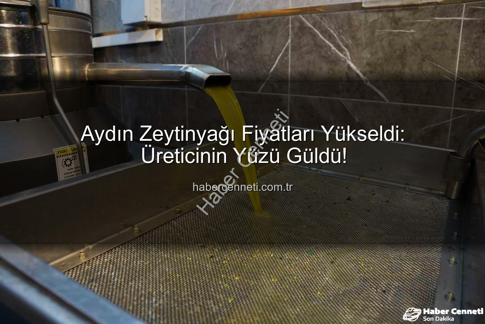 zeytinyağı fiyatları - Aydın Zeytinyağı Fiyatları Yükseldi: Üreticinin Yüzü Güldü!