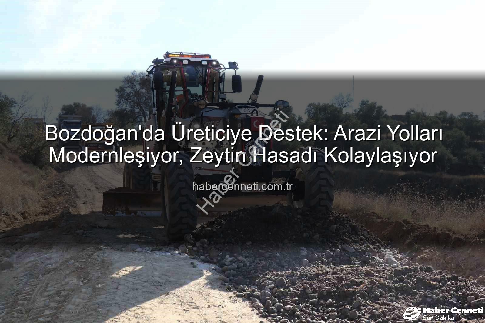 Bozdoğan yol çalışmaları - Bozdoğan'da Üreticiye Destek: Arazi Yolları Modernleşiyor, Zeytin Hasadı Kolaylaşıyor