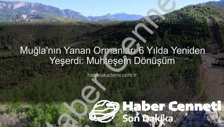 Muğla Dalaman’da 6 Yılda Mucize: Binlerce Fidanla Yeniden Yeşeren Ormanlar